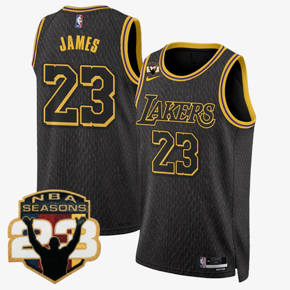 LAL LeBron Jame 23 Seasons Patch Special Jersey - All Stitched